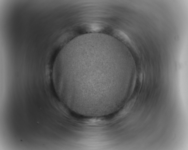 X0000088440366200706051252