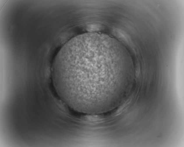 X0000088440367200706051252