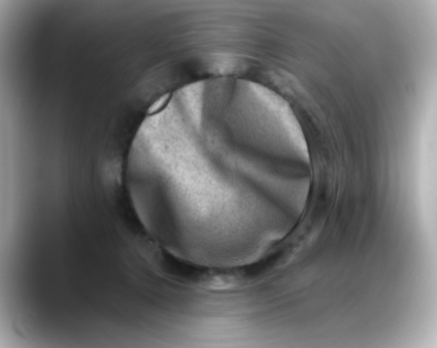 X0000088440368200706051252