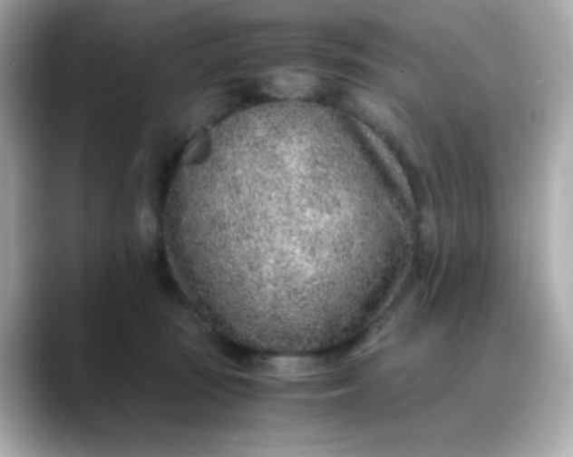 X0000088440371200706051252