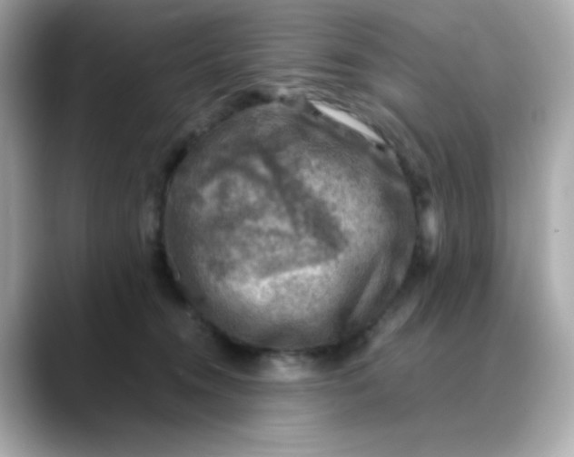 X0000088440372200706051252