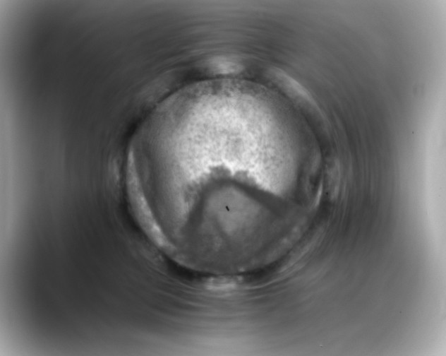 X0000088440373200706051252