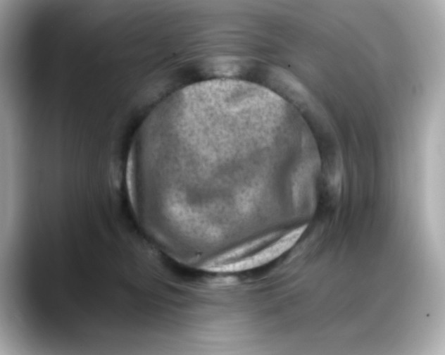 X0000088440374200706051252