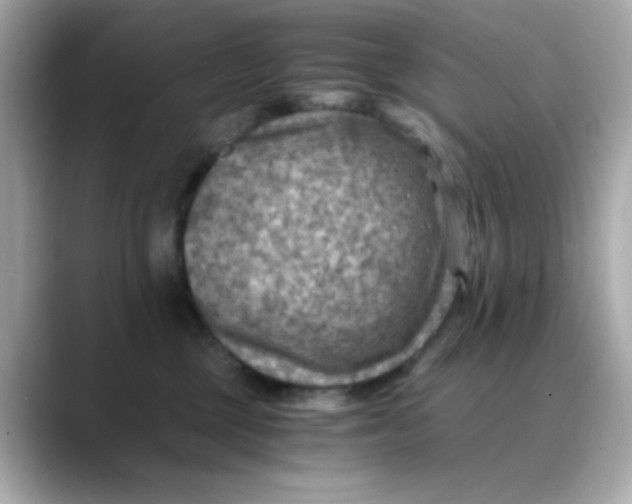X0000088440377200706051252