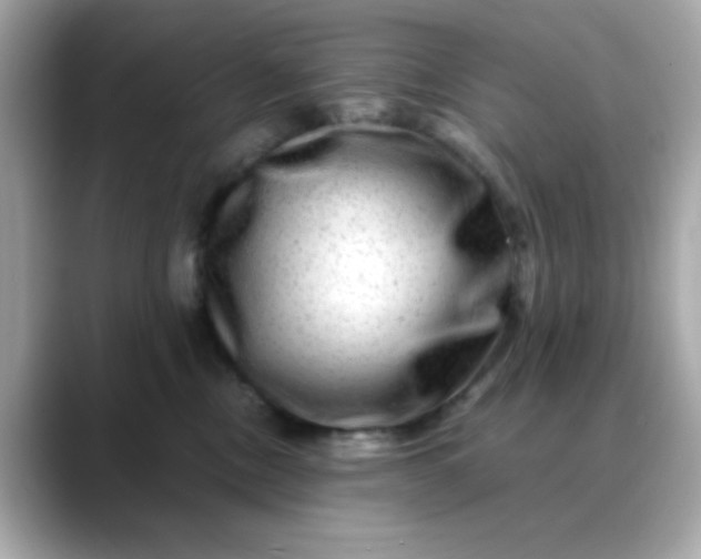 X0000088440378200706051252
