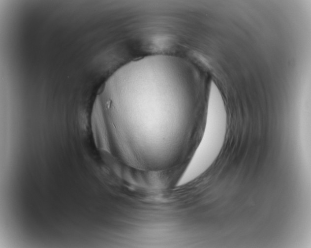 X0000088440380200706051252