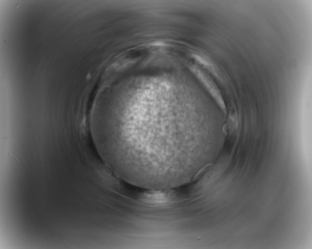 X0000088440381200706051252