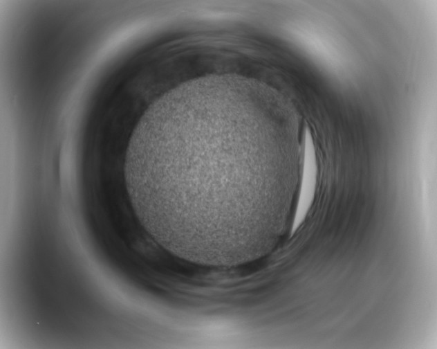 X0000088440383200706051252