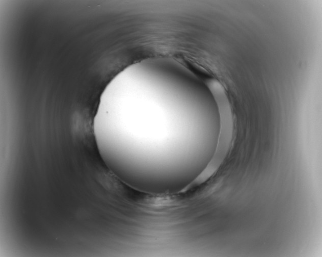 X0000088440384200706051252