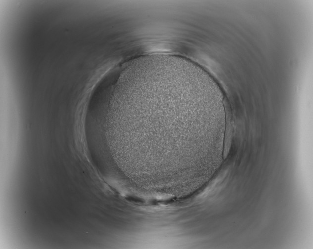 X0000088440385200706051252