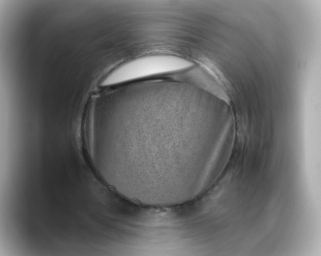 X0000088440386200706051252