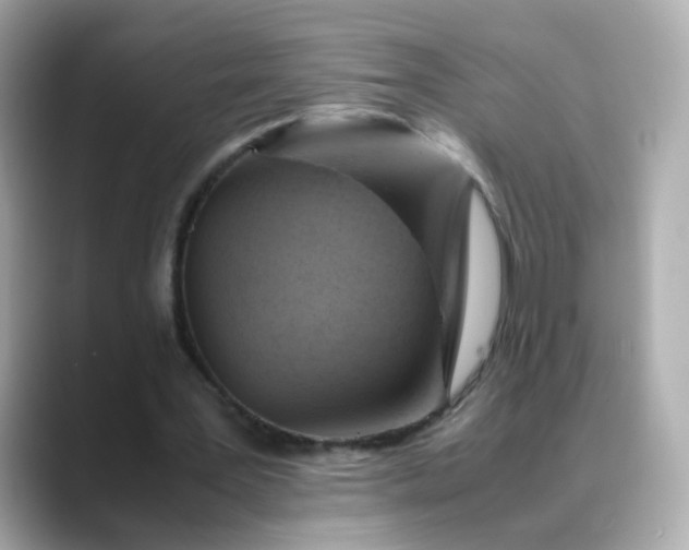 X0000088440387200706051252
