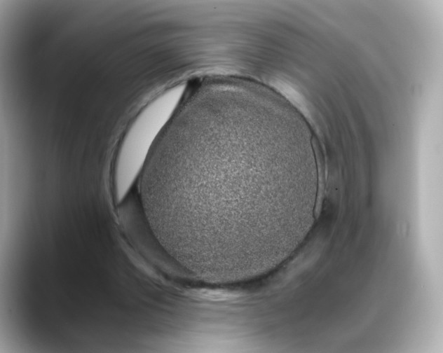 X0000088440389200706051252