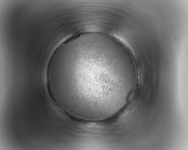 X0000088440390200706051252