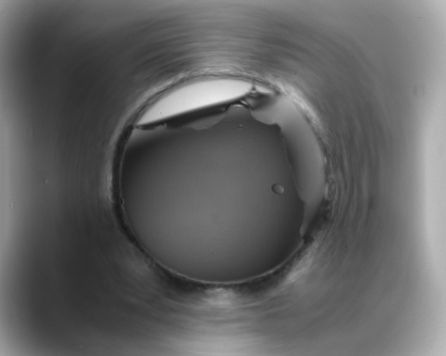 X0000088440391200706051252