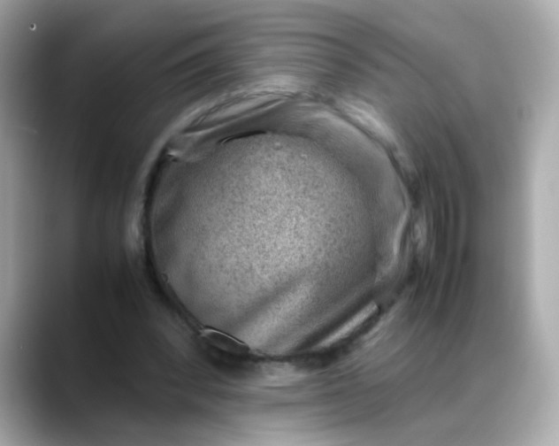 X0000088440392200706051252