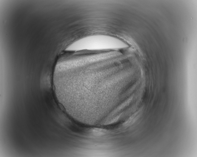 X0000088440393200706051252