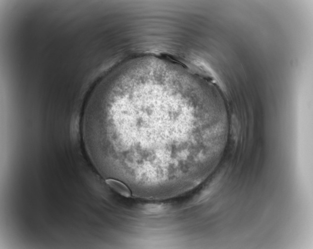 X0000088440394200706051252
