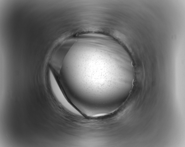 X0000088440395200706051252