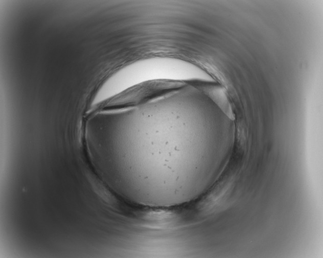 X0000088440397200706051252