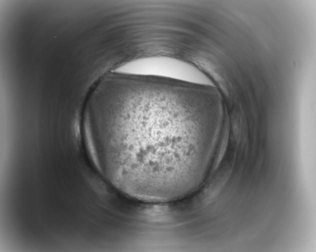 X0000088440398200706051252