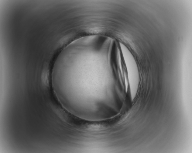X0000088440400200706051252