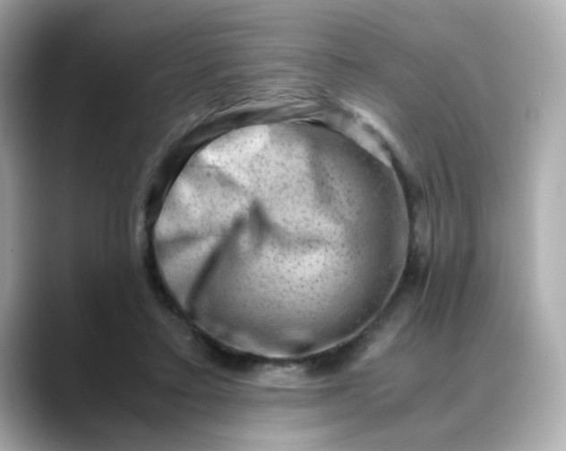 X0000088440403200706051252