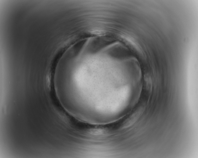X0000088440404200706051252
