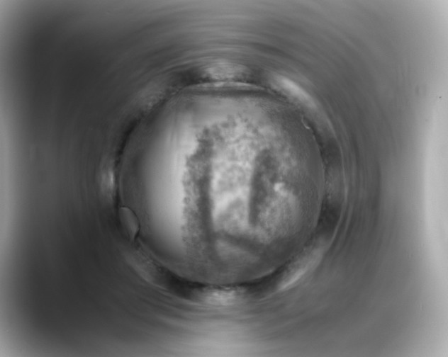 X0000088440405200706051252