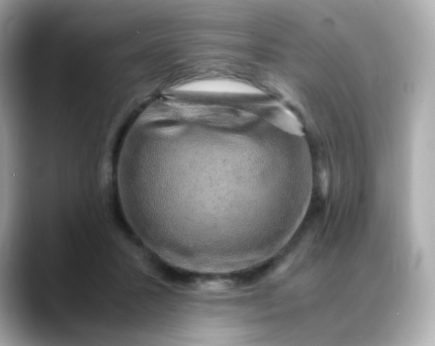 X0000088440407200706051252