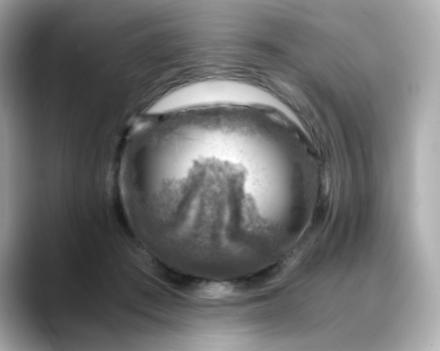 X0000088440409200706051252