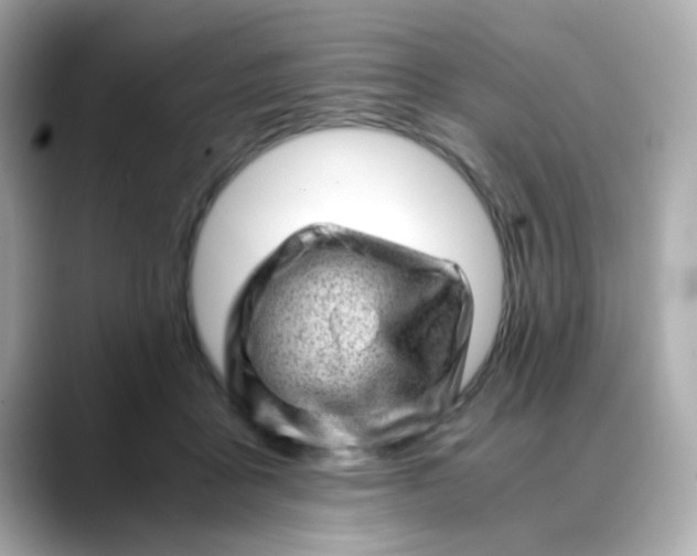 X0000088440411200706051252