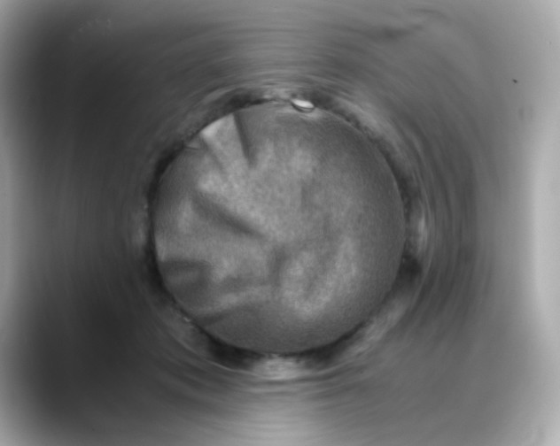 X0000088440413200706051252