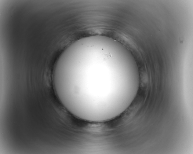 X0000088440414200706051252