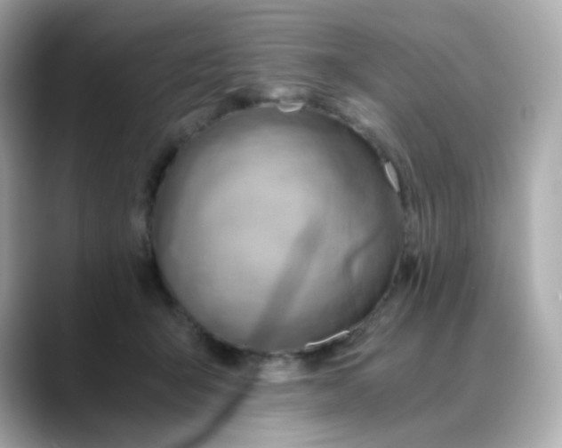 X0000088440415200706051251