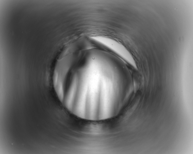 X0000088440416200706051251