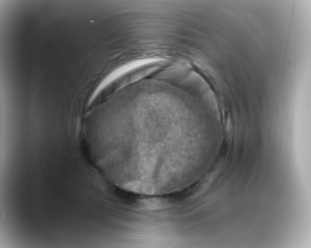 X0000088440417200706051251