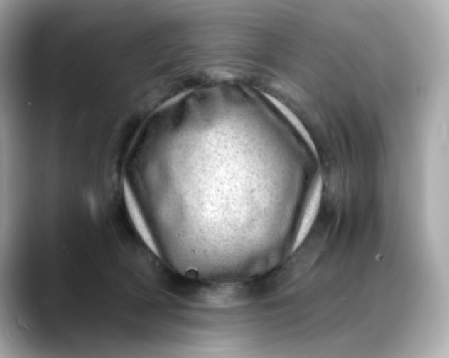 X0000088440418200706051251