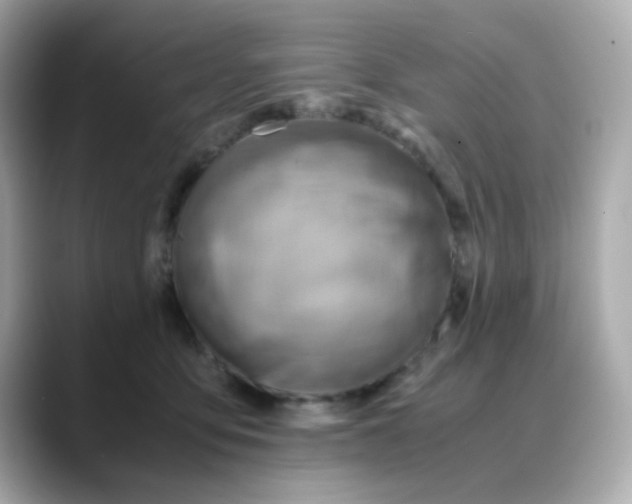 X0000088440419200706051251