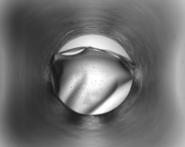 X0000088440421200706051251