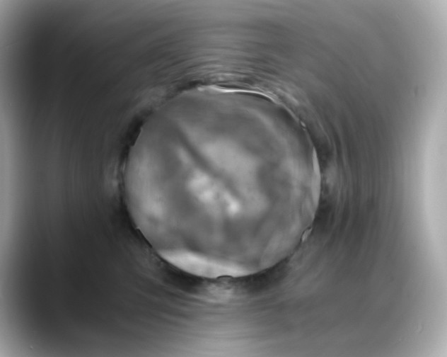 X0000088440423200706051251