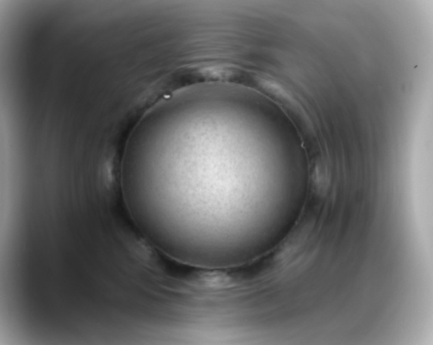 X0000088440424200706051251