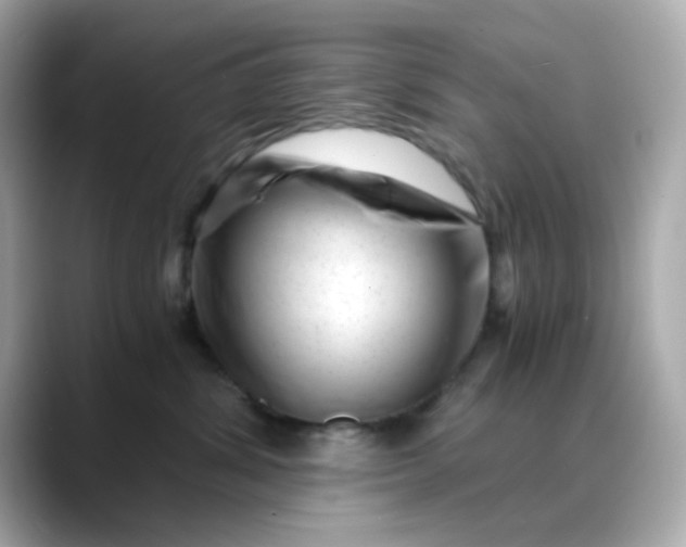 X0000088440428200706051251