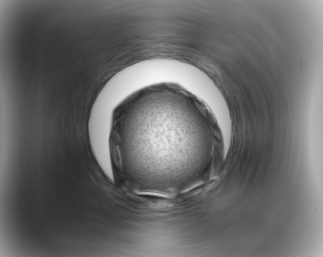 X0000088440429200706051251