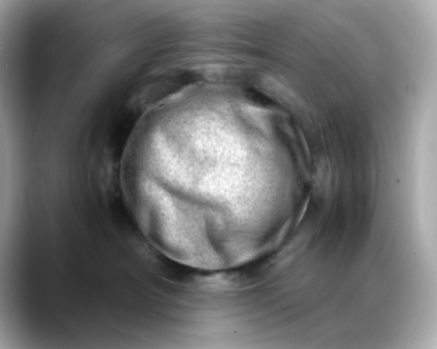 X0000088440430200706051251