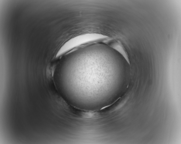 X0000088440432200706051251