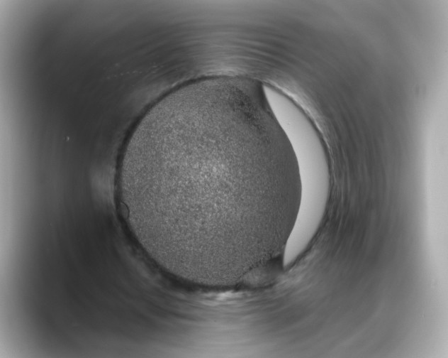 X0000088440434200706051251