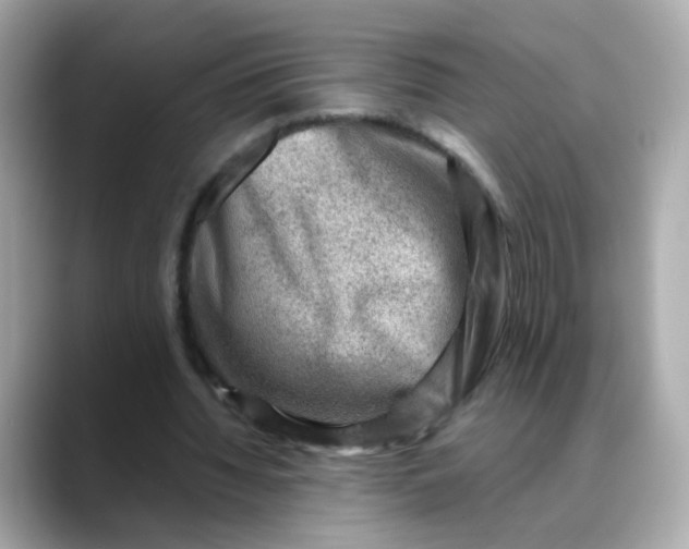 X0000088440436200706051251