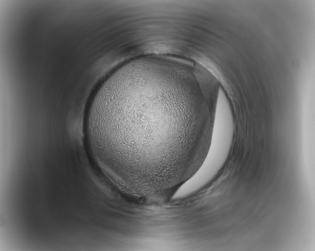 X0000088440438200706051251