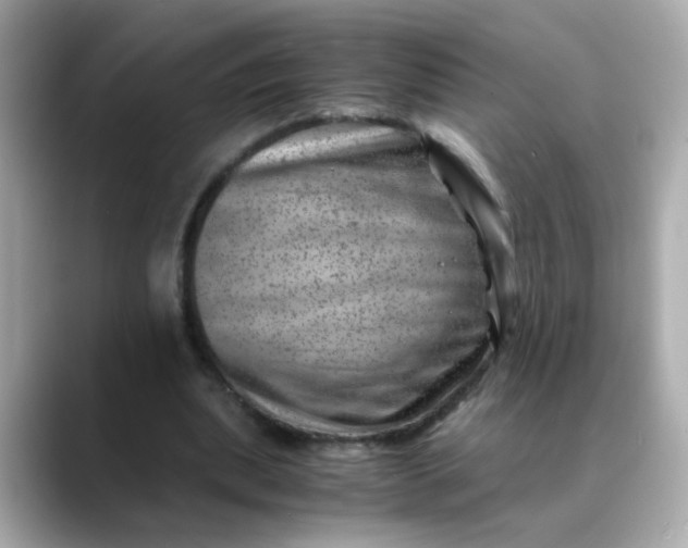 X0000088440439200706051251